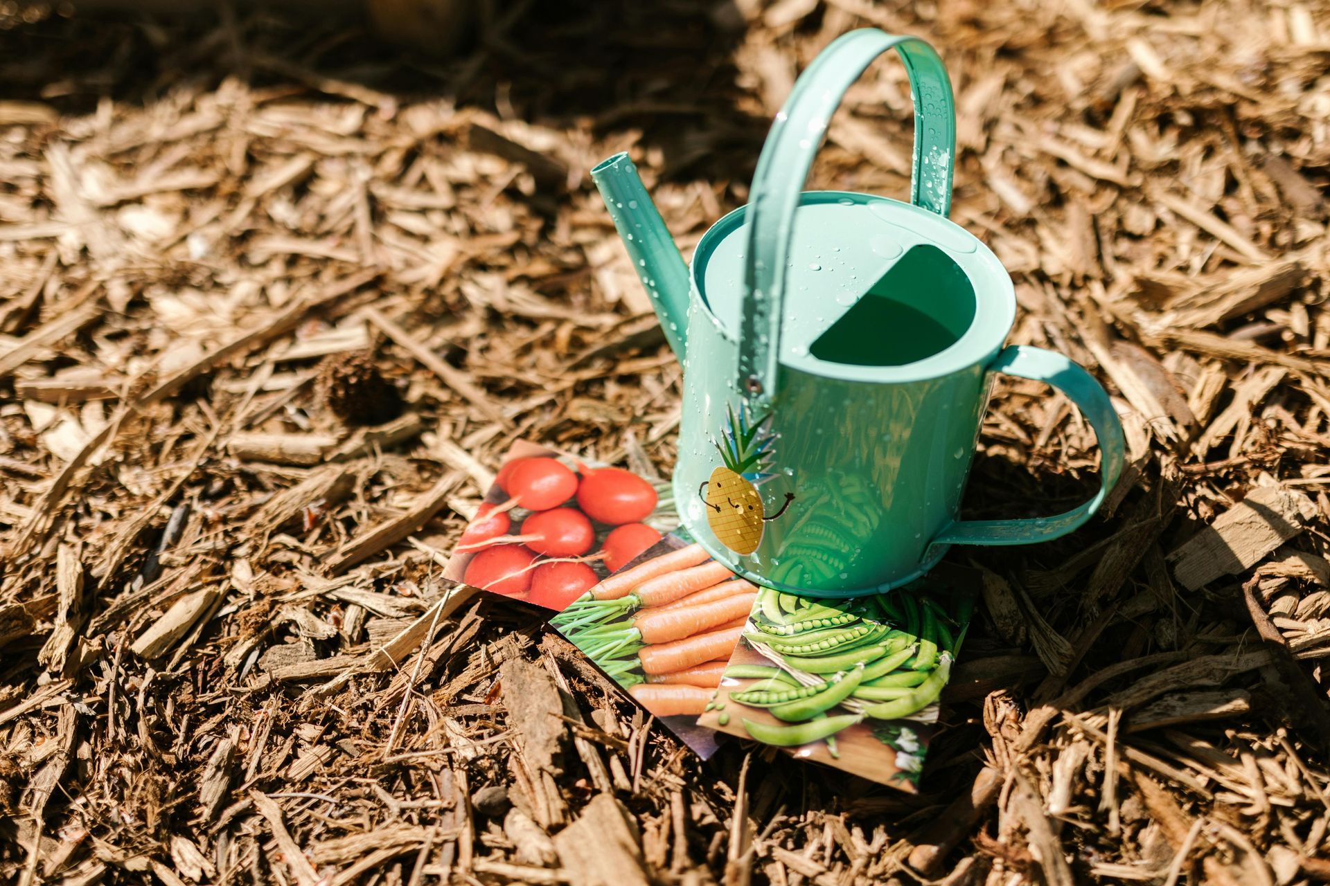 A watering can is sitting on top of a pile of mulch next to a bag of seeds.