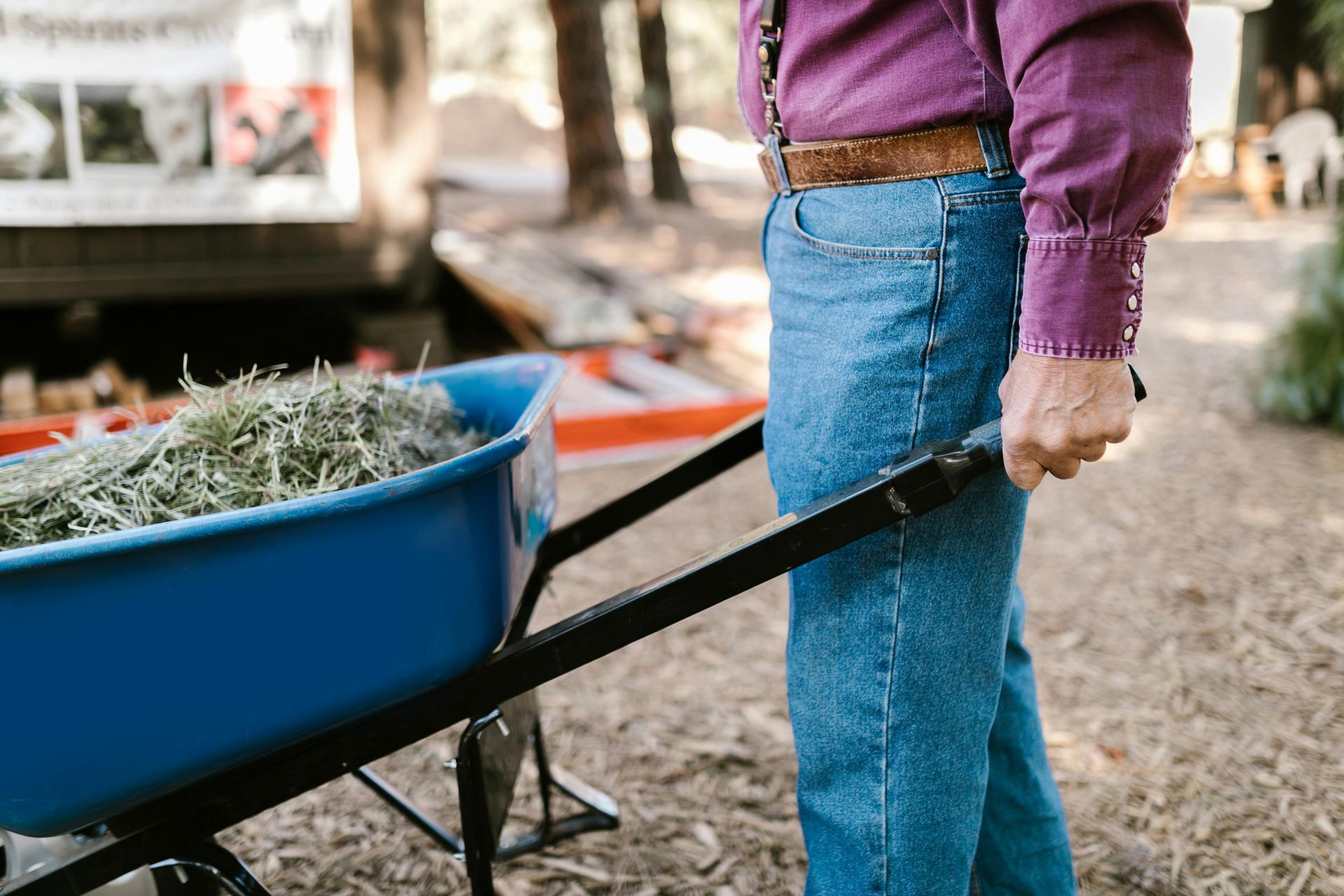 A man is pushing a wheelbarrow full of hay.