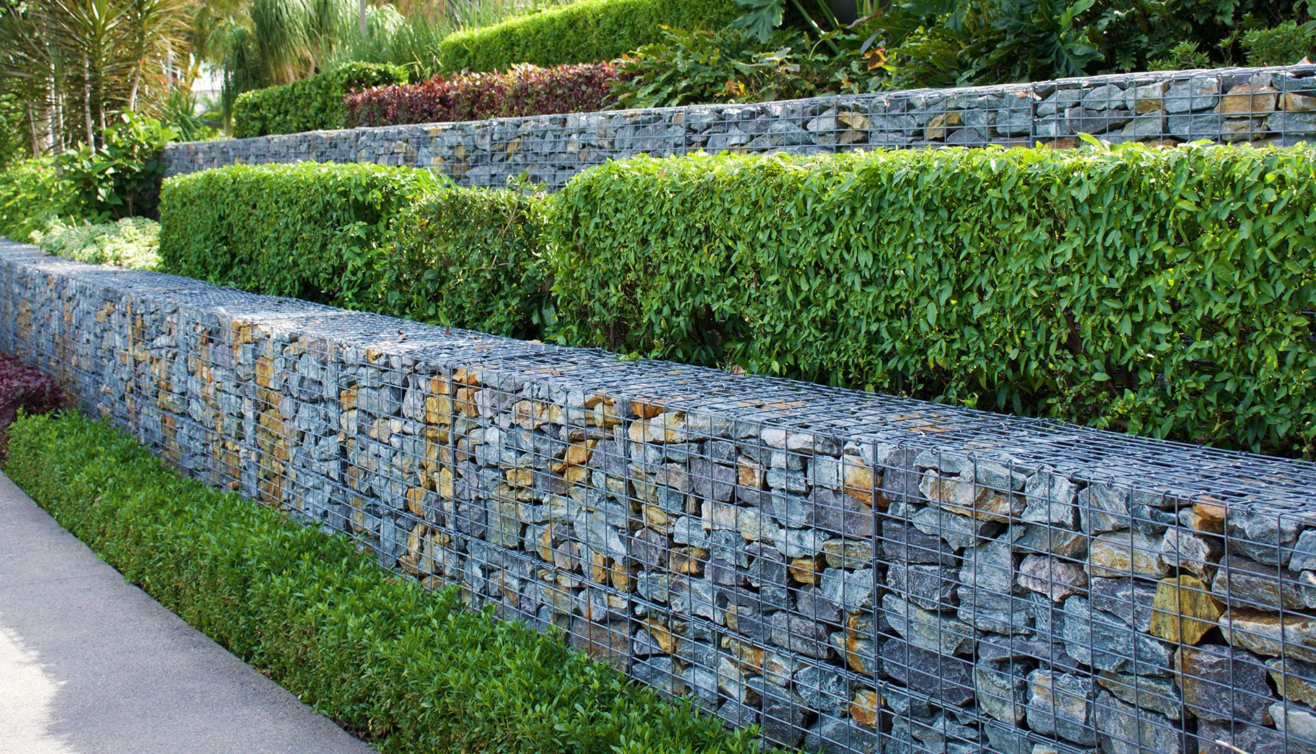 Tiered garden with gabion walls filled with rocks and green hedges.