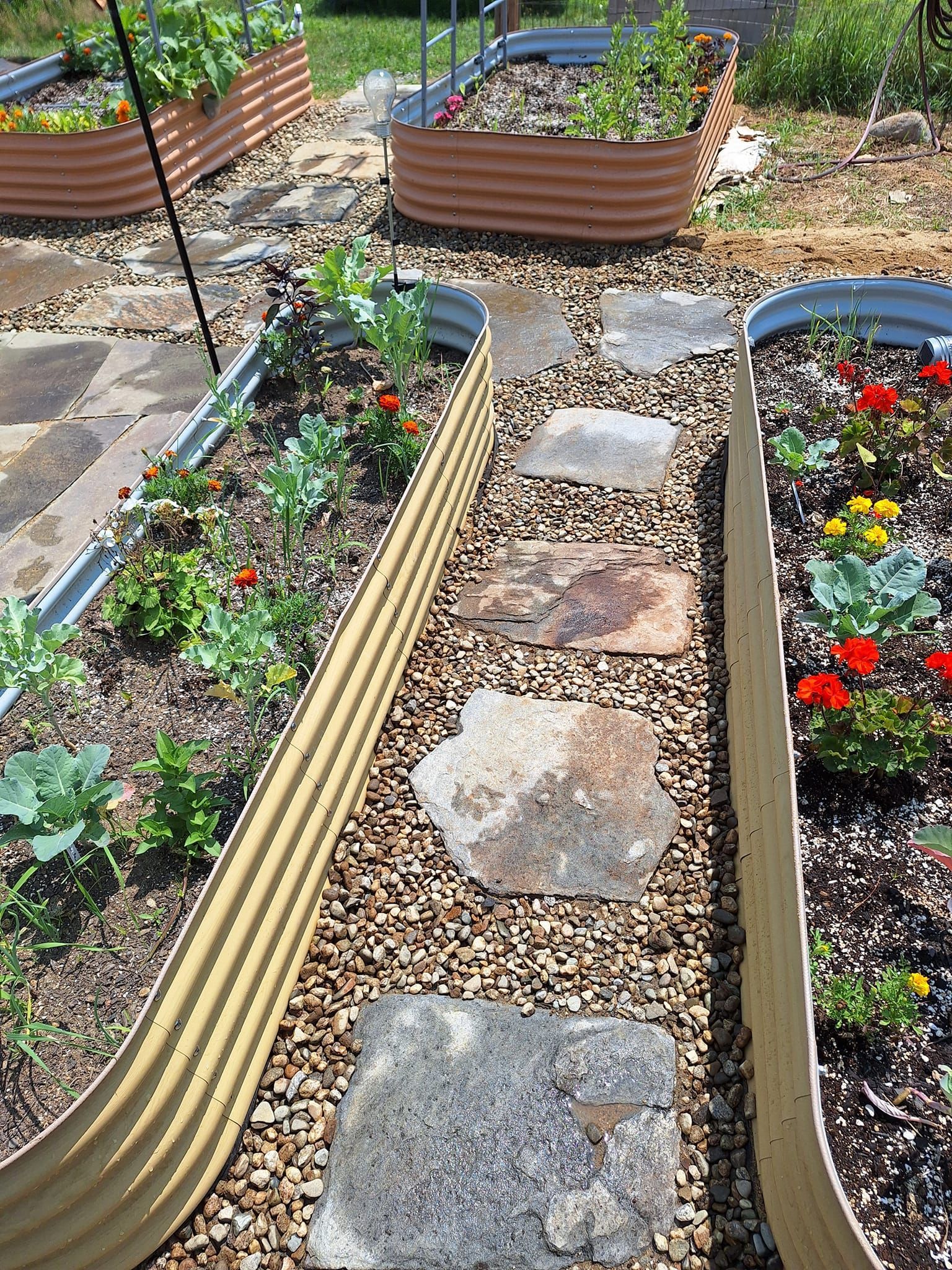 Raised garden beds with metal edging and a stone pathway.