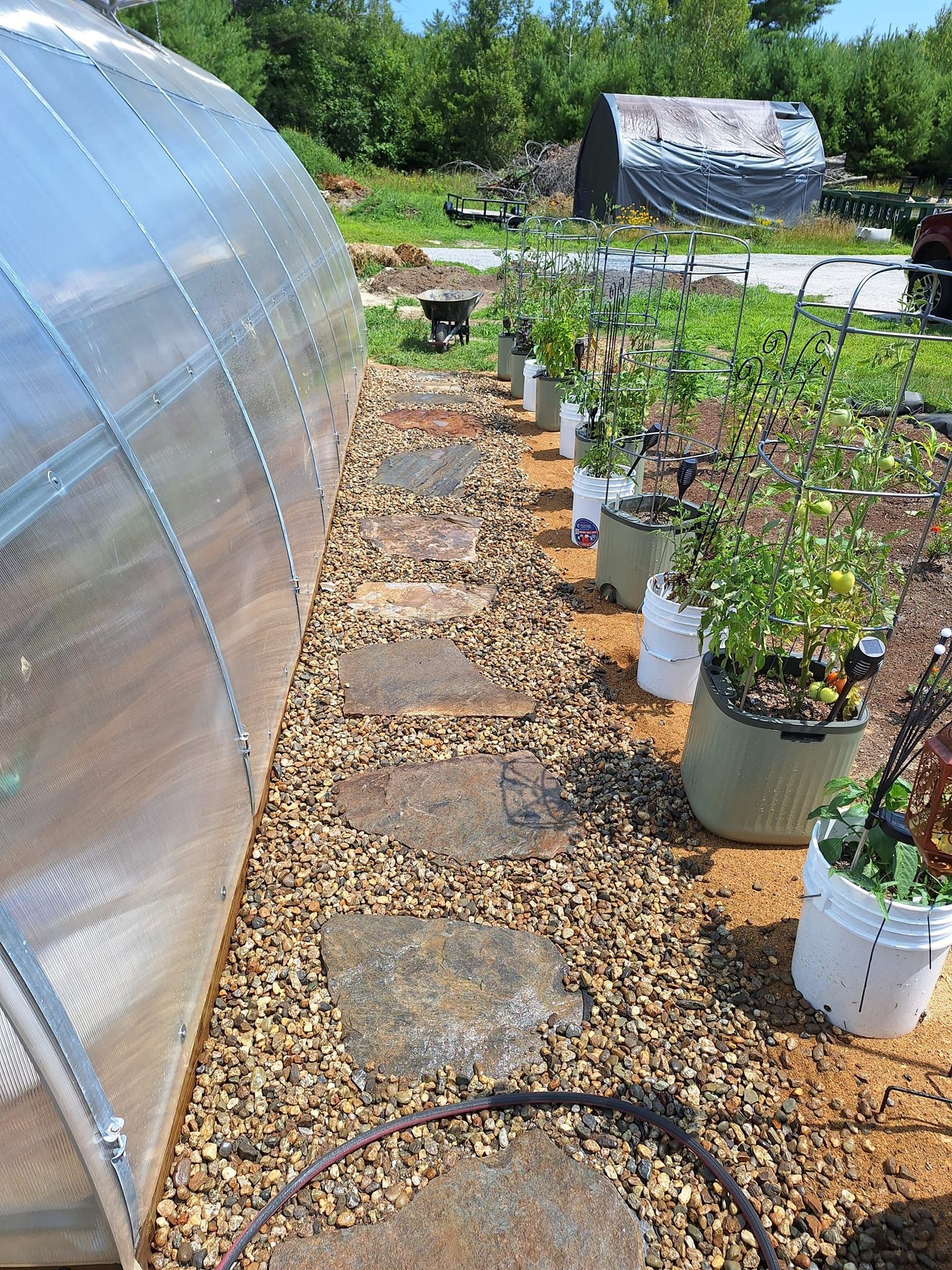 Pathway of stones beside a greenhouse and potted plants in a sunny garden.