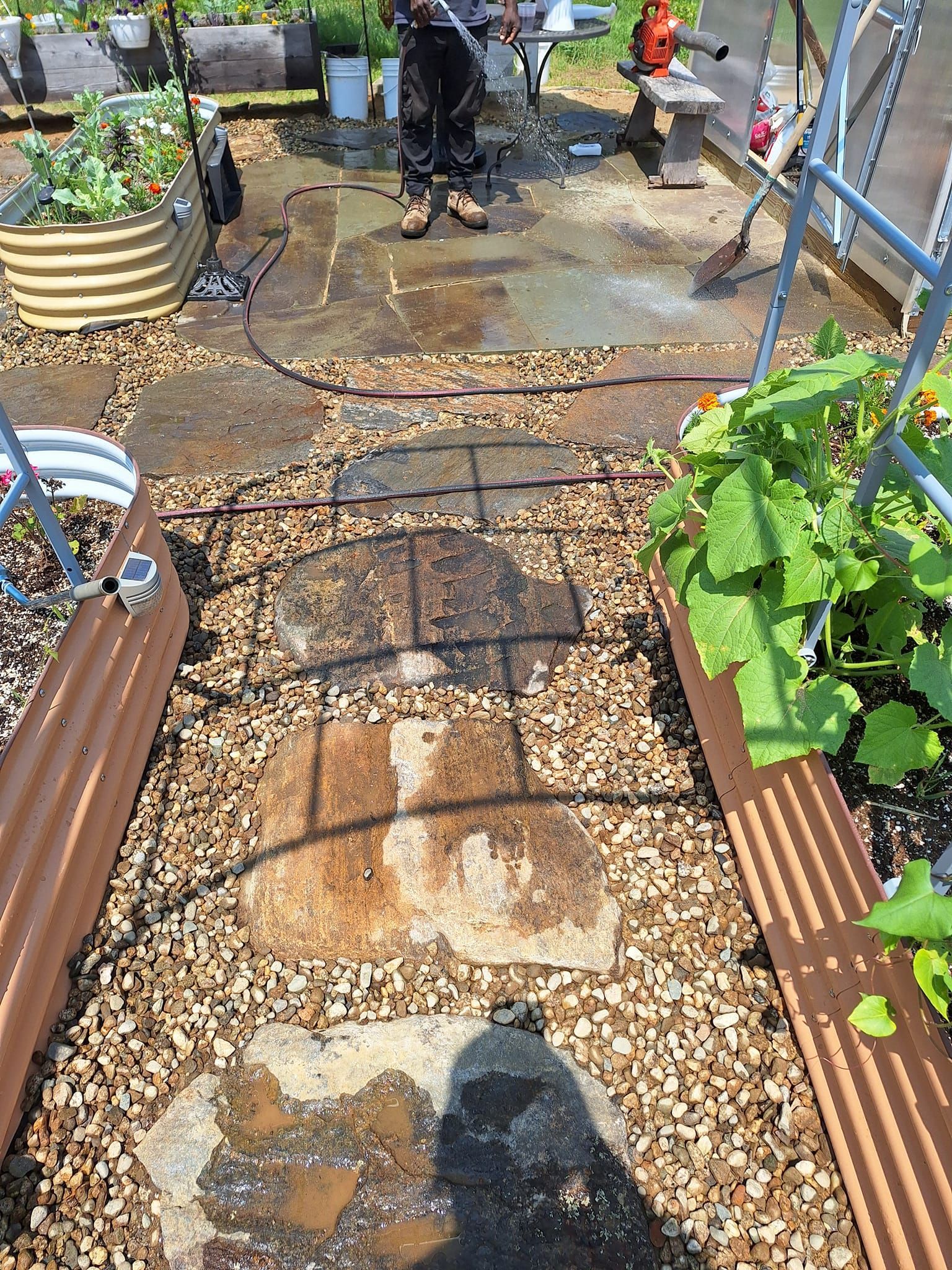 Person tending a garden, gravel path between raised beds with stepping stones.