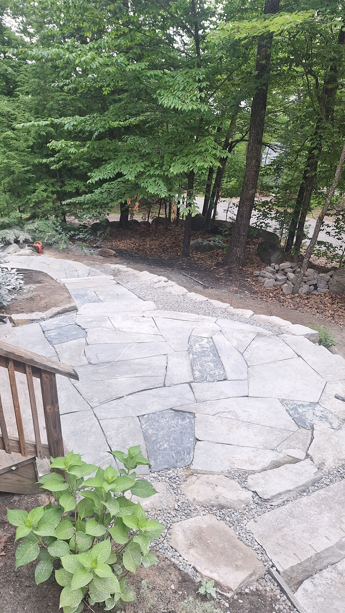 Stone pathway winding through a wooded backyard. Green foliage surrounds the path.