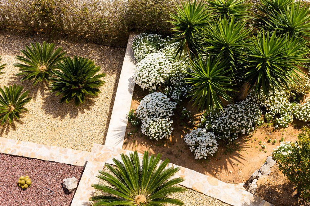 Landscape Design with Palm Trees and Flowers — Tampa, FL — J & M Lawn Service and More LLC