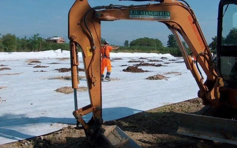 Ingegneria naturalistica