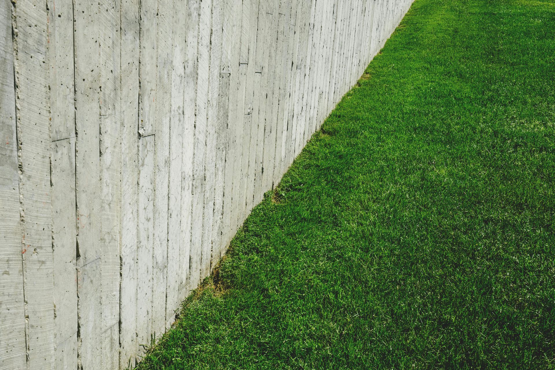 Concrete wall against a bright green lawn, a stark contrast in textures and colors.