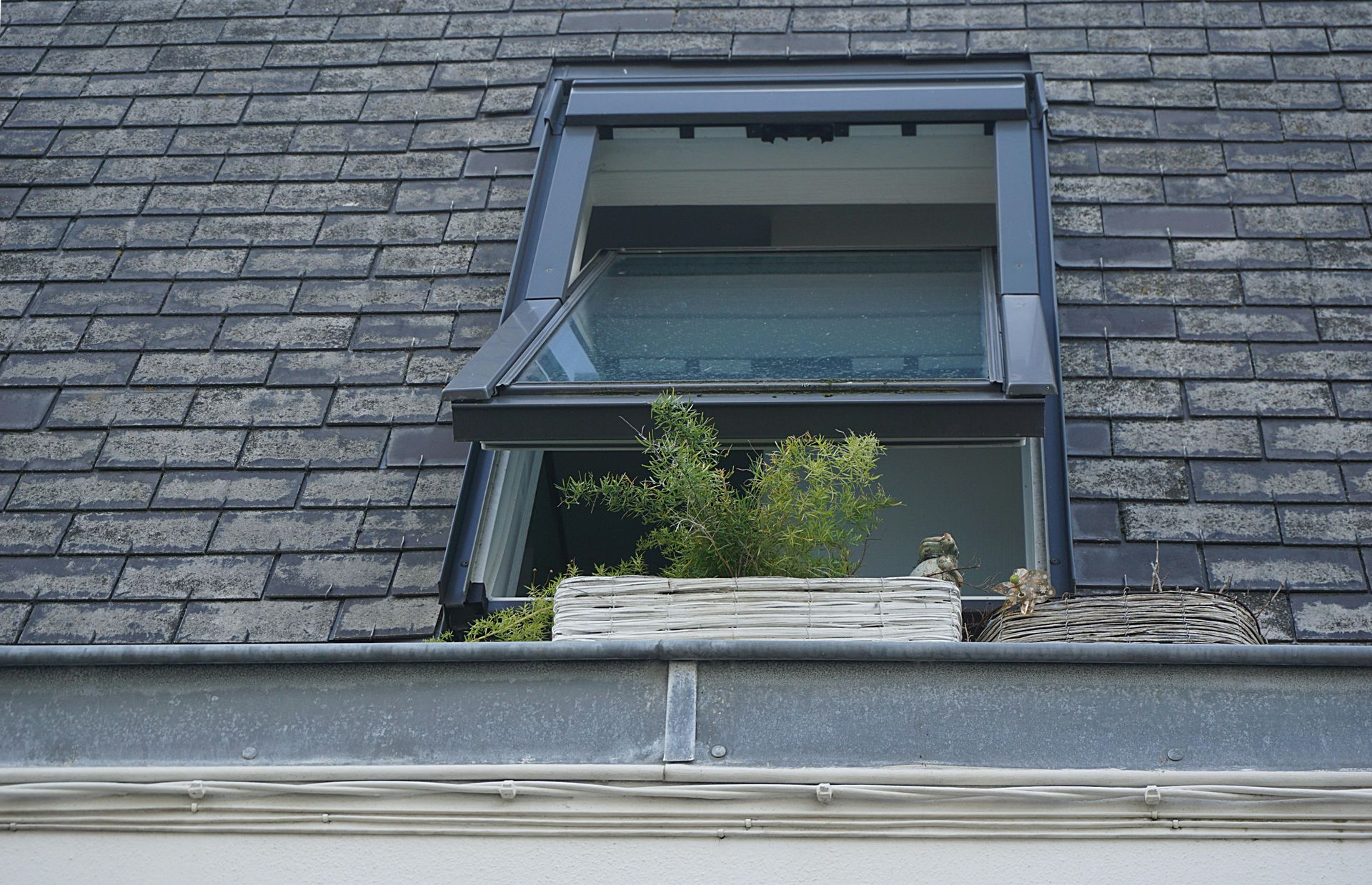 Open skylight on a shingled roof with a planter box filled with plants.