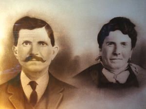 A close up of a bunch of flowers with a dark background.