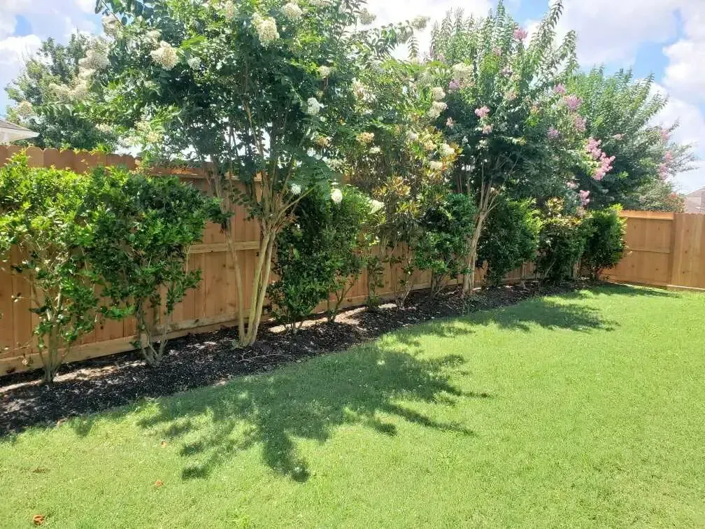 A wooden fence surrounds a lush green lawn in a backyard.