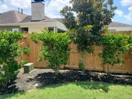A wooden fence is surrounded by trees and bushes in a backyard.