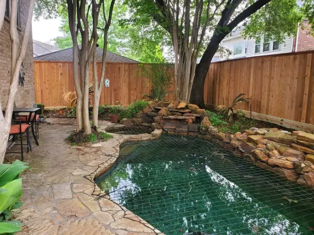 A wooden fence with a gate in the backyard of a house.