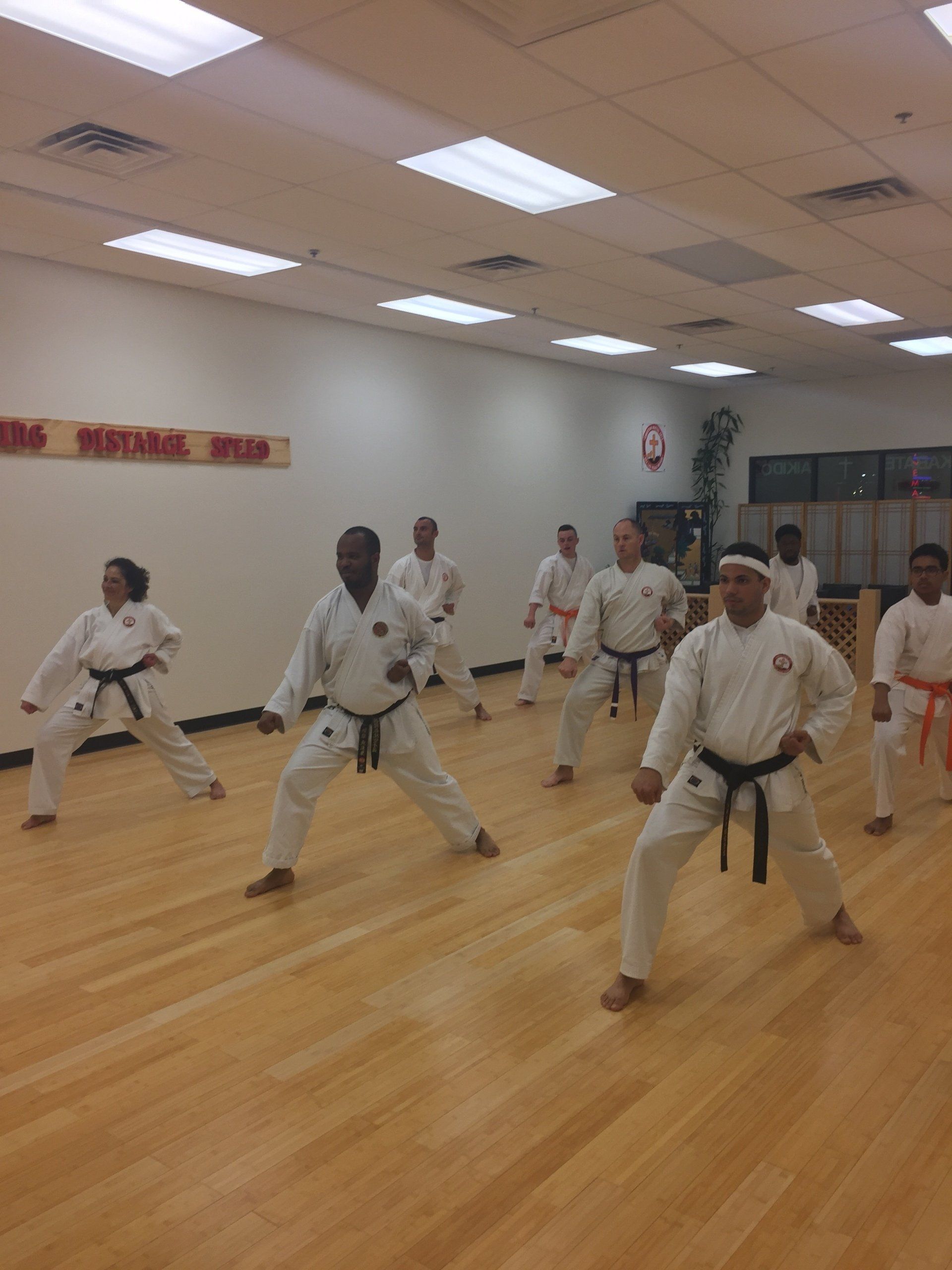 Karate students in low-block stance during class