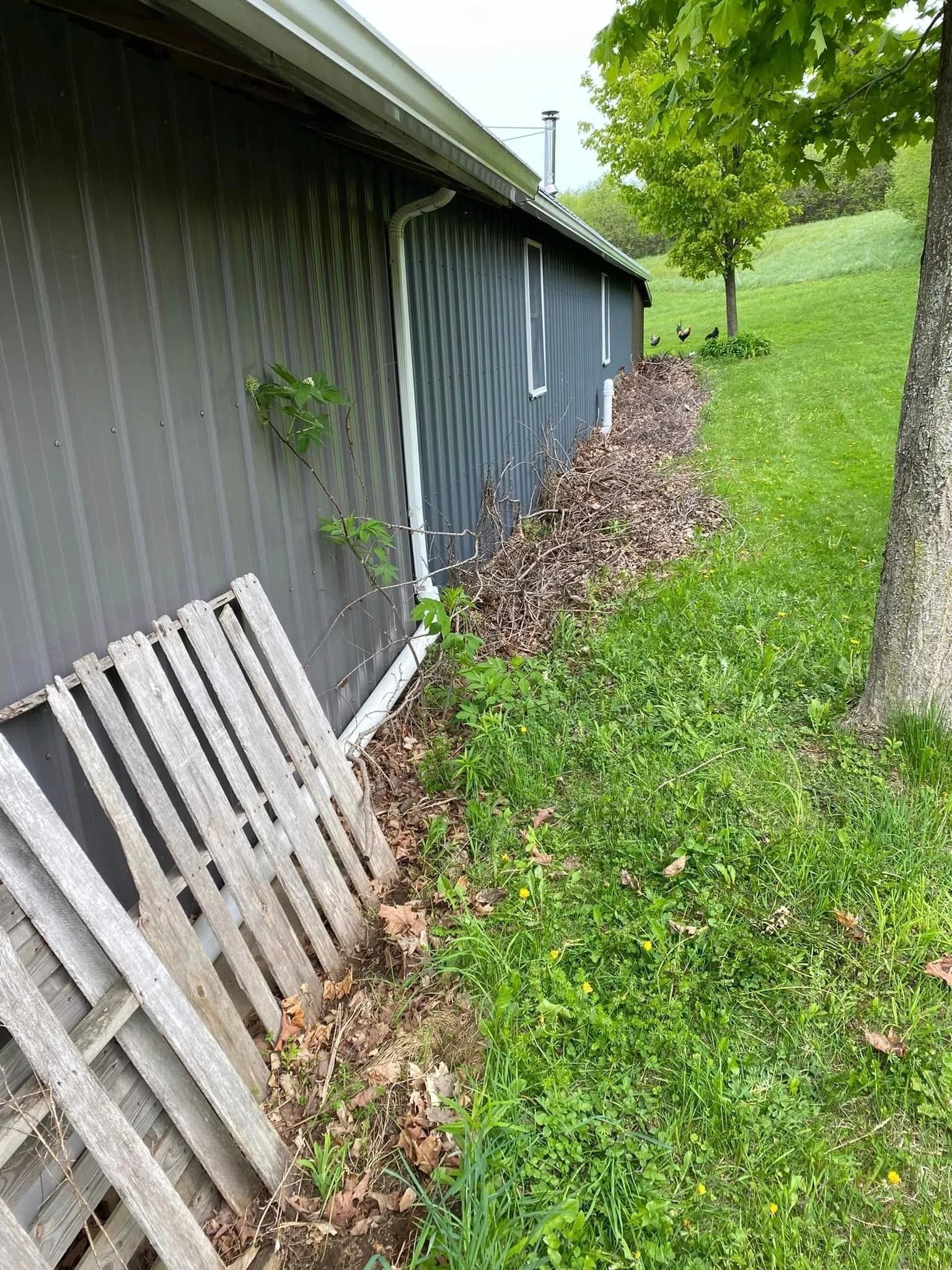 Exterior of a building with weathered siding, a wooden pallet, and a grassy lawn alongside.