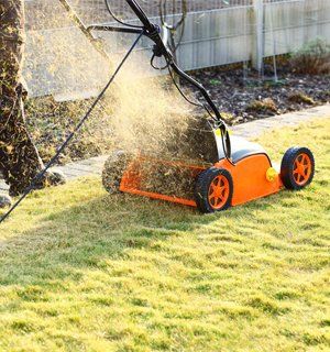 Grass cutting and lawn care