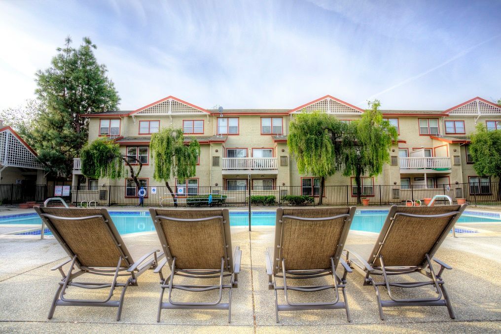 Lounge chairs facing an apartment complex pool on a sunny day.