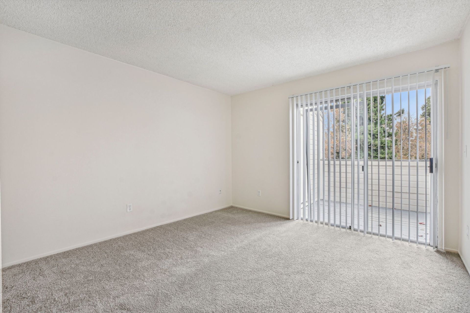 Empty room with carpet, sliding glass door, and vertical blinds.