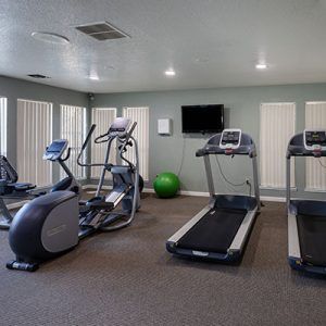 Gym interior with cardio equipment: treadmills, ellipticals, exercise bike, and a green exercise ball.