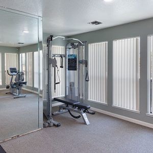Gym with exercise equipment, including a multi-station machine, bicycle, and a large mirror.