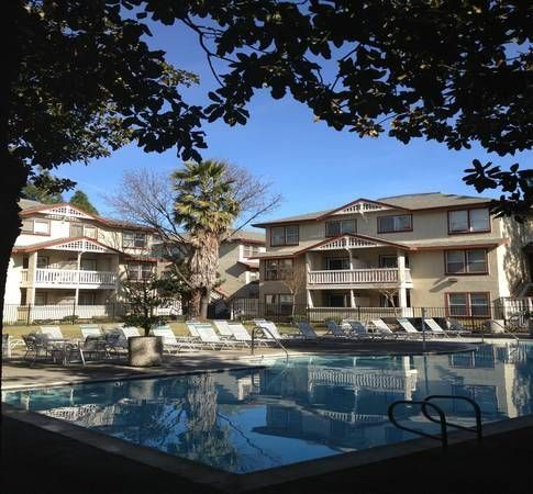 Apartment complex with a pool, seen from under a tree. Sunny day, with white lounge chairs around the pool.