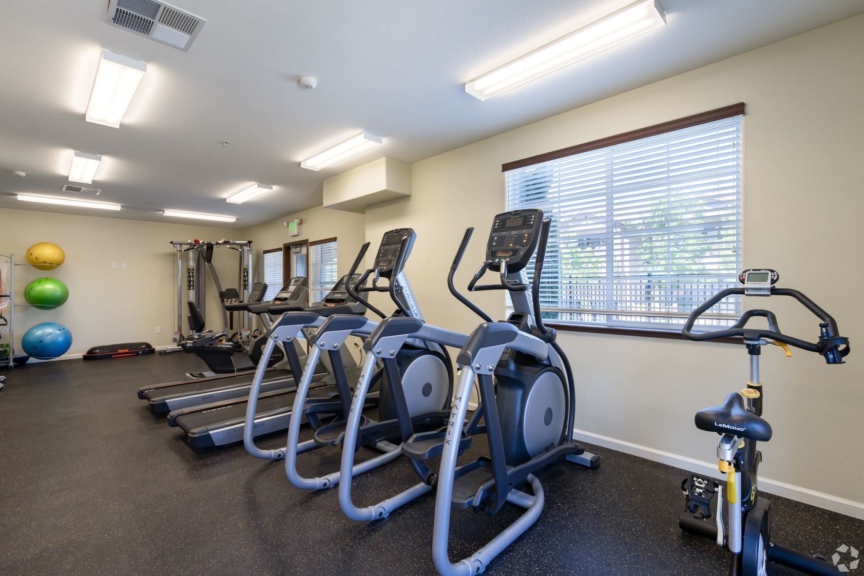 Gym with treadmills, elliptical machines, a stationary bike, and exercise balls.