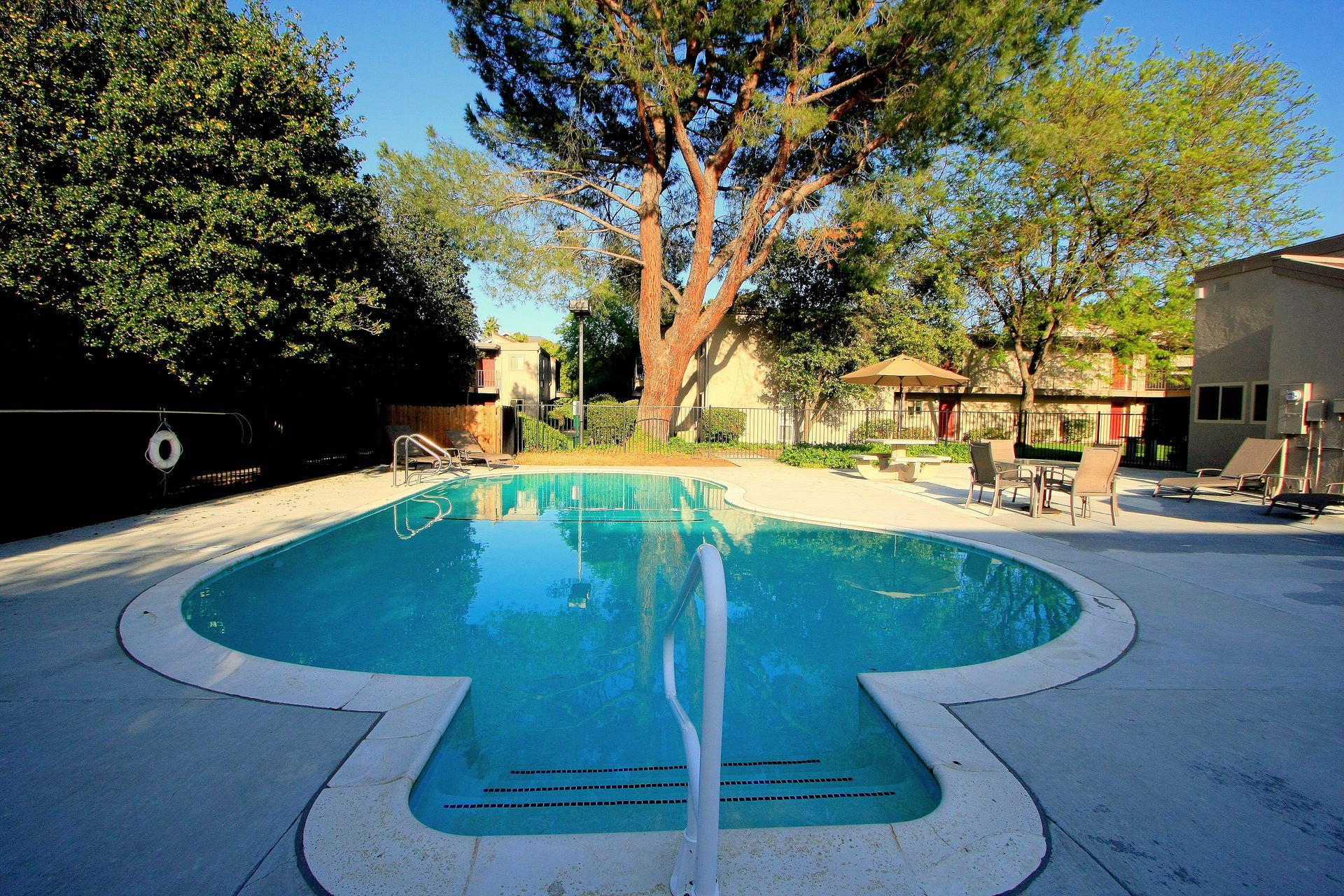 Swimming pool with a large tree, lounge chairs, and buildings.