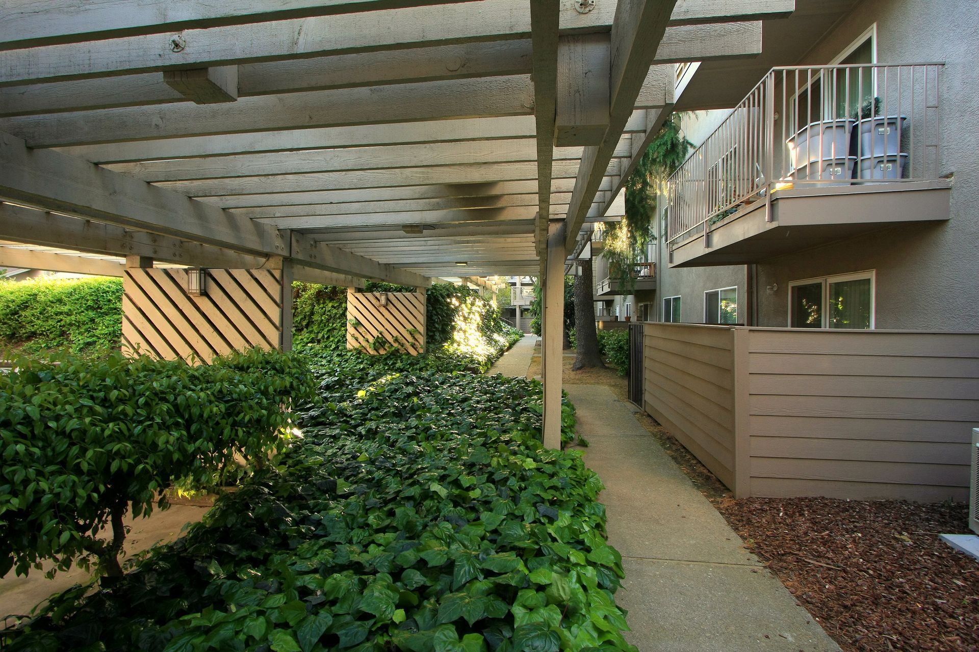 Pathway under a wooden pergola with lush greenery and apartment building in view.