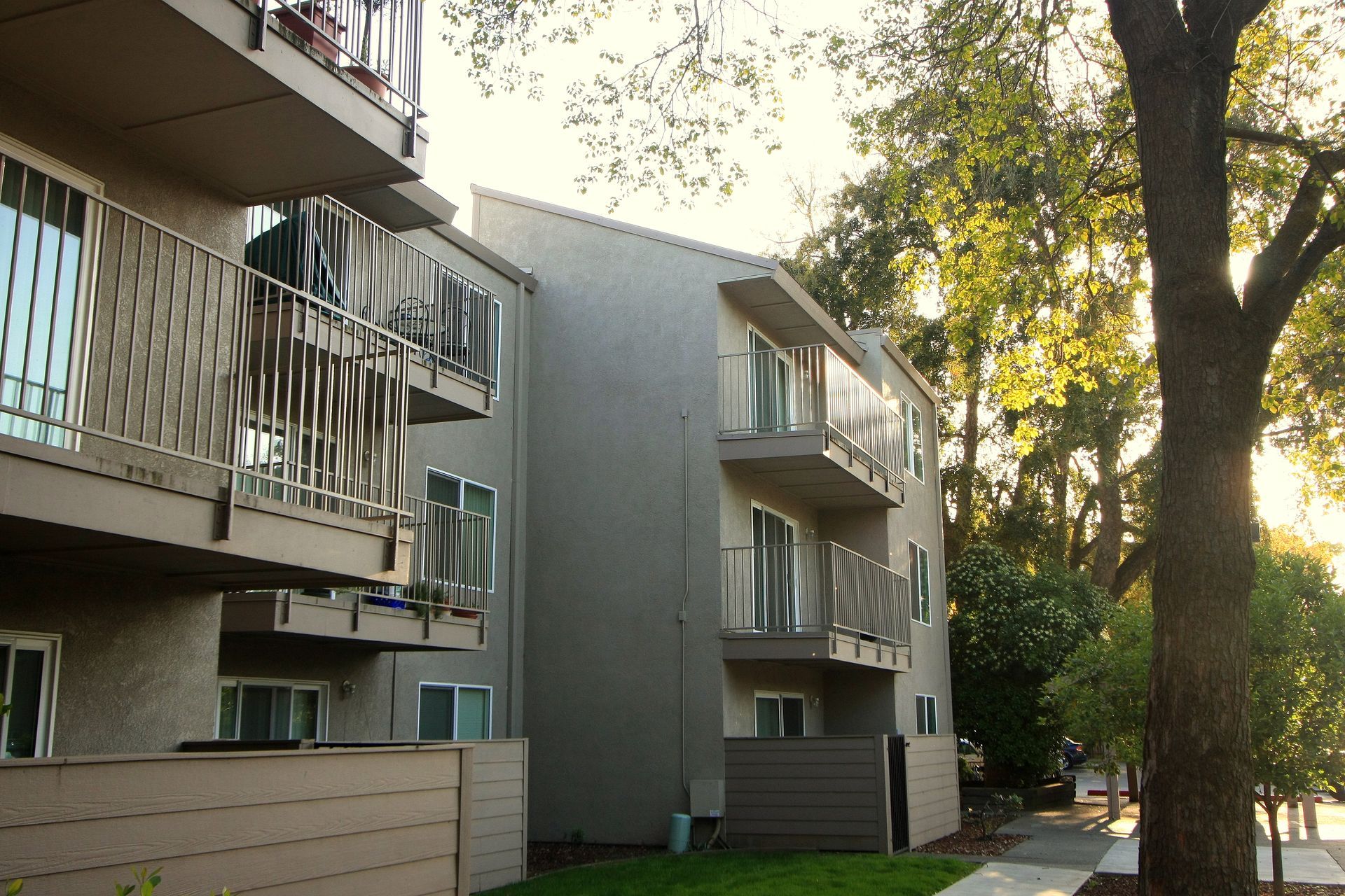 Apartment building with balconies and trees in the sunlight.