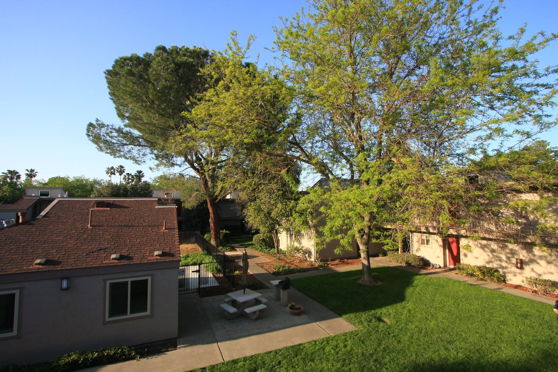 A courtyard with trees, a picnic table, grass, buildings, and a clear blue sky.