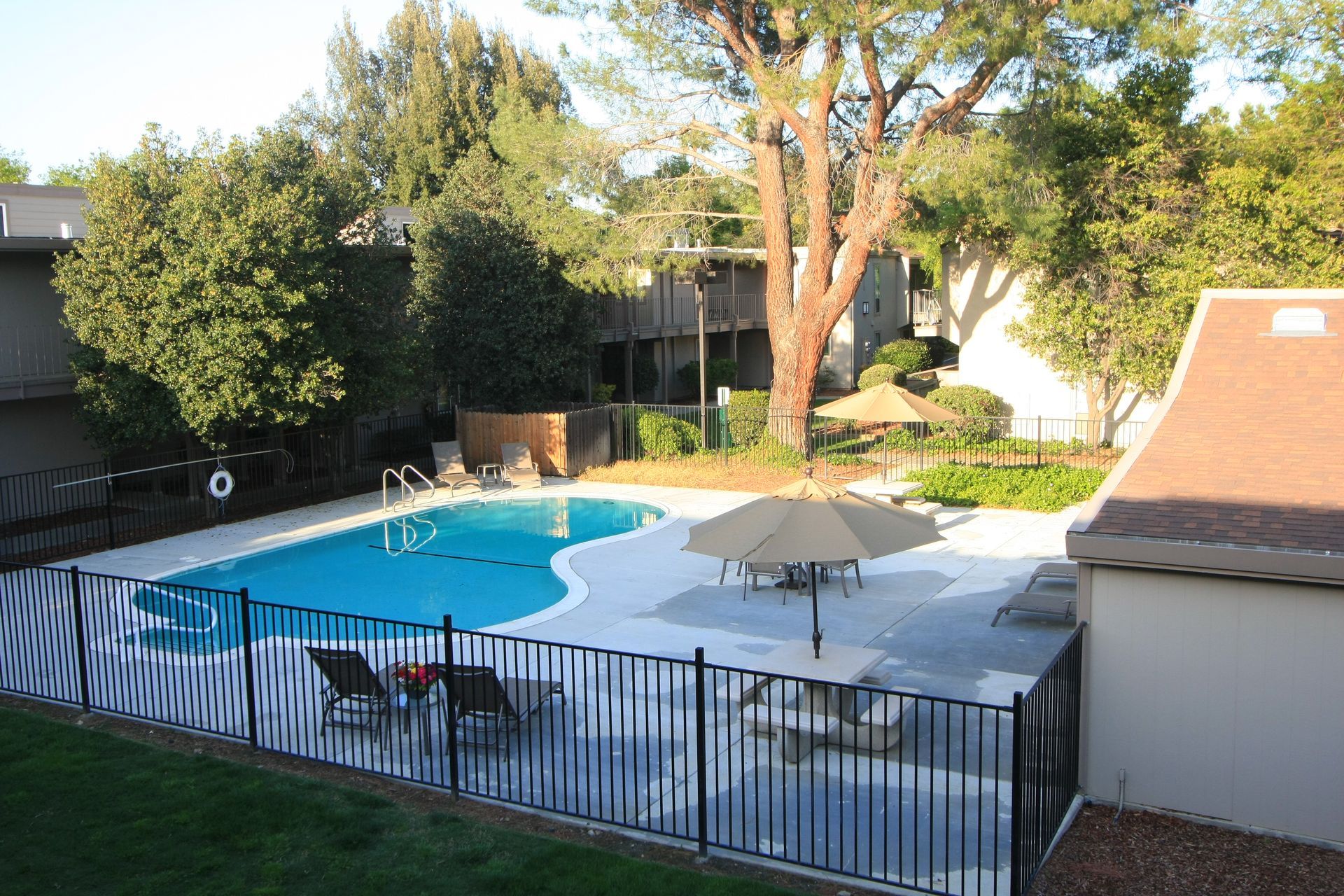 Swimming pool surrounded by trees, with lounge chairs and umbrellas.