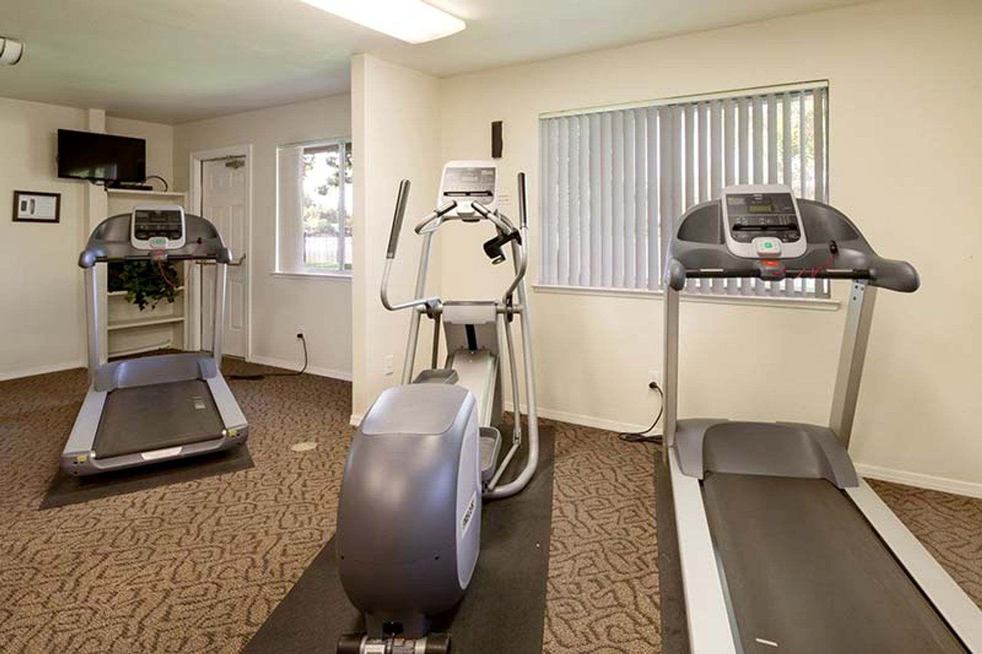 Gym with treadmills and elliptical machine, with a television in the background.