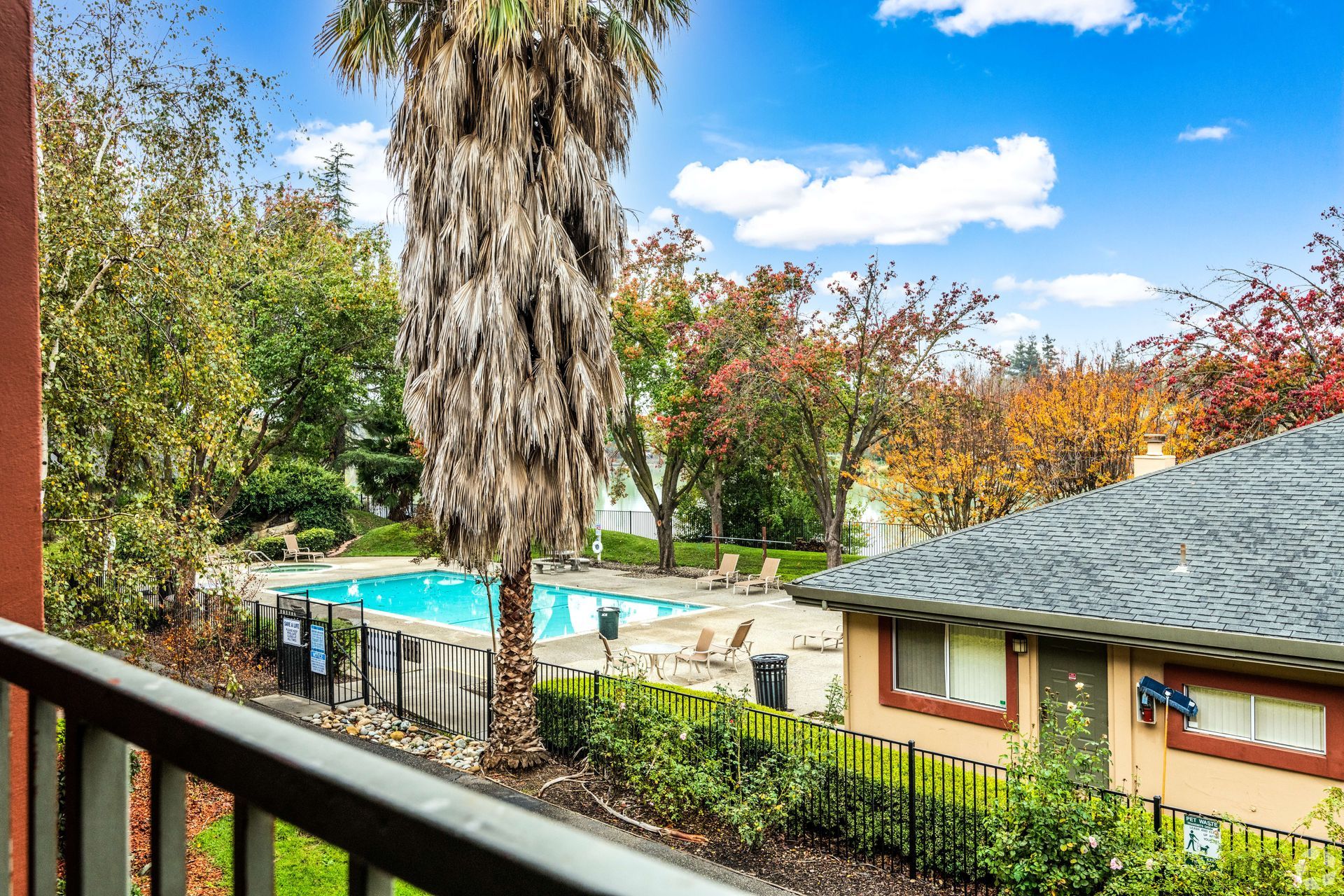 Balcony view of a pool area with a palm tree, trees with colorful leaves, and a building under a blue sky.