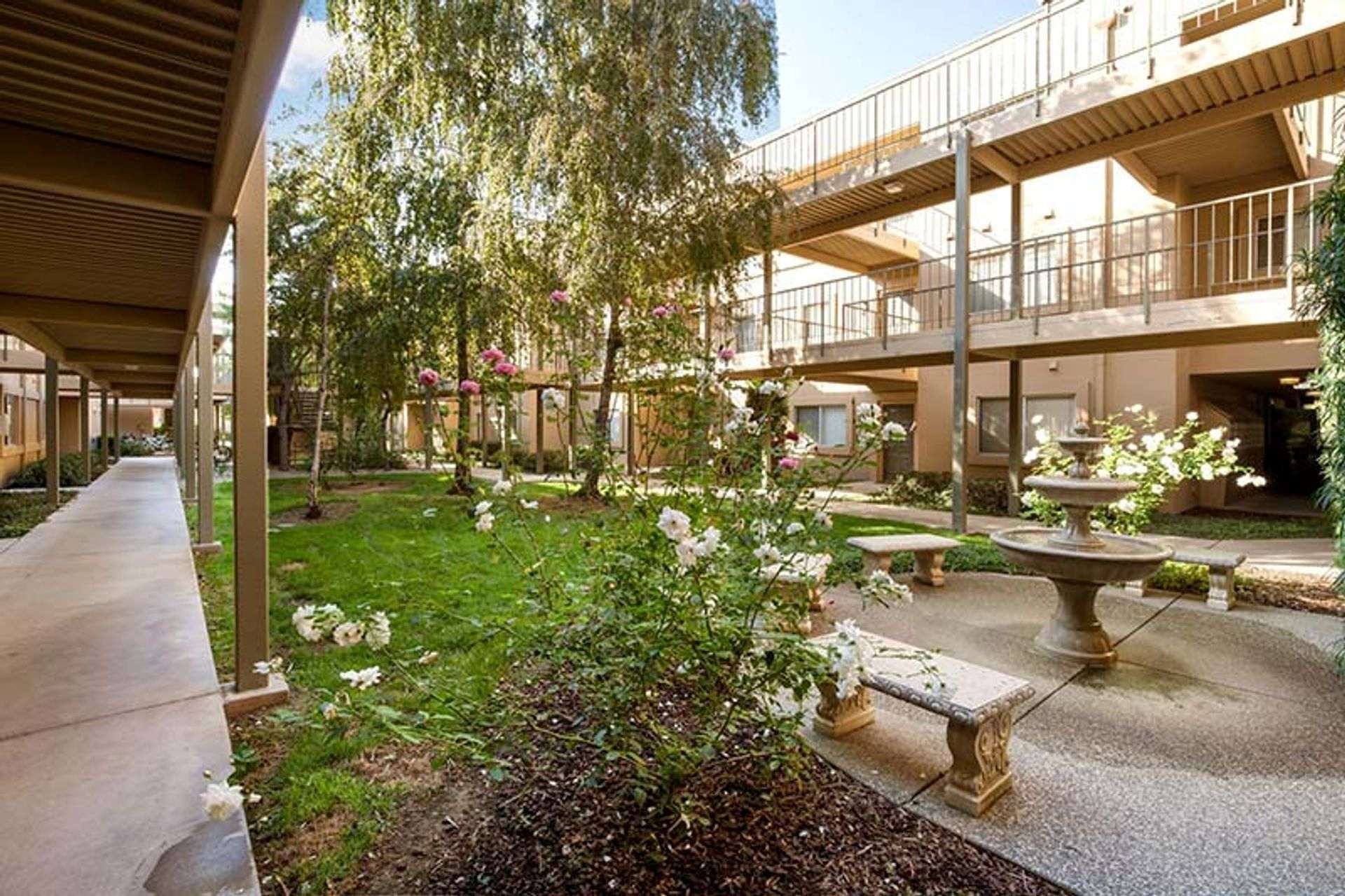 Courtyard with grass, fountain, stone benches, and walkway under a pergola.