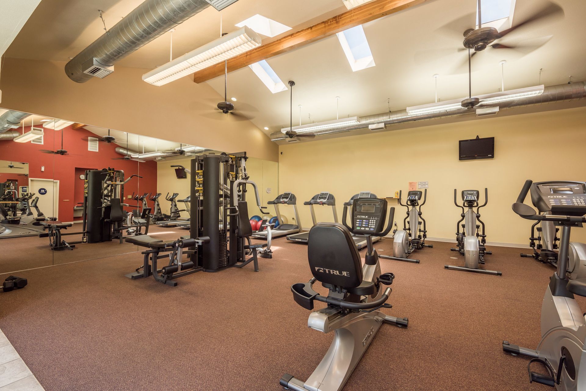 Gym with cardio machines, weight machines, brown carpet, and skylights.