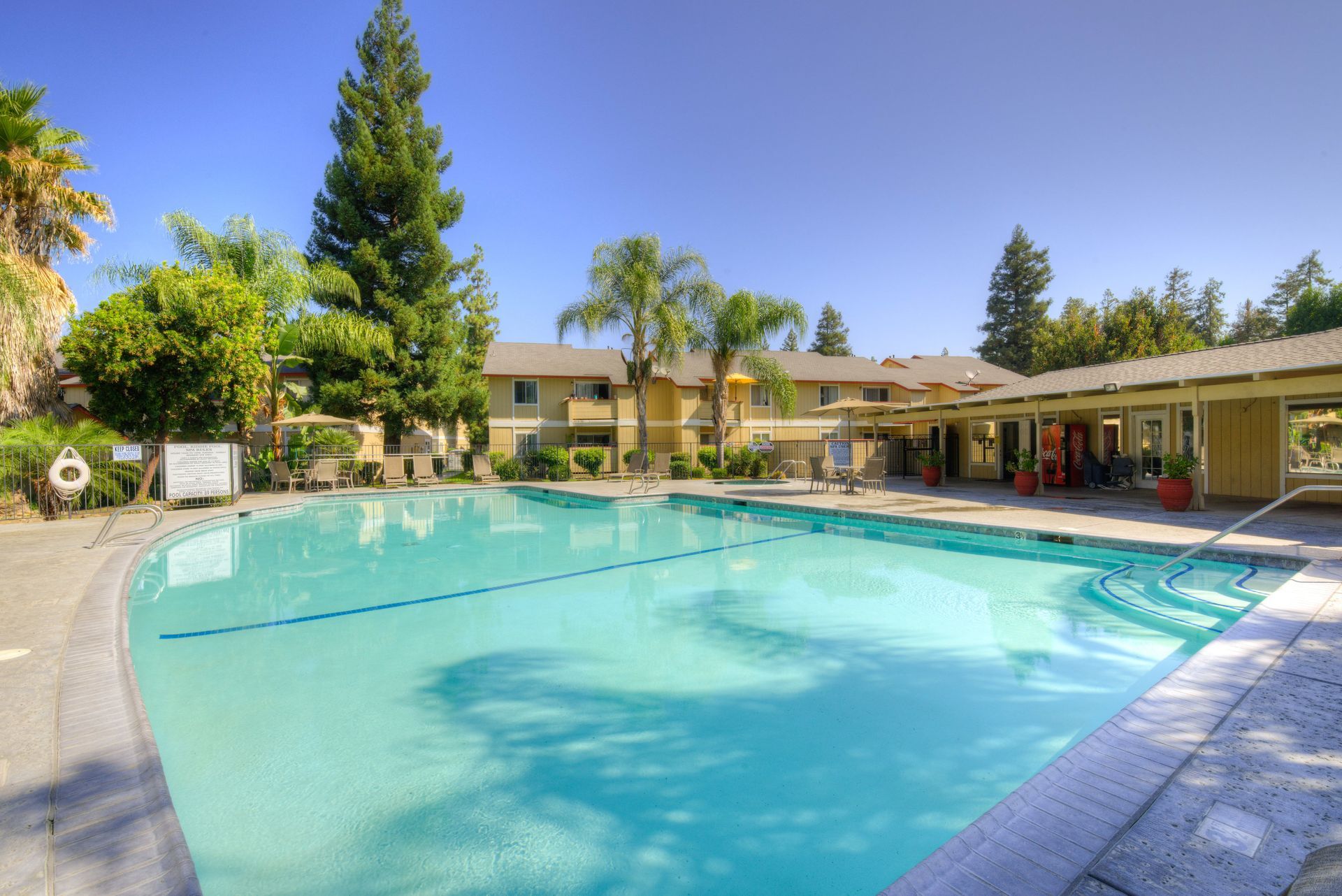 Swimming pool with a building in the background on a sunny day. Palm trees and other greenery surround it.