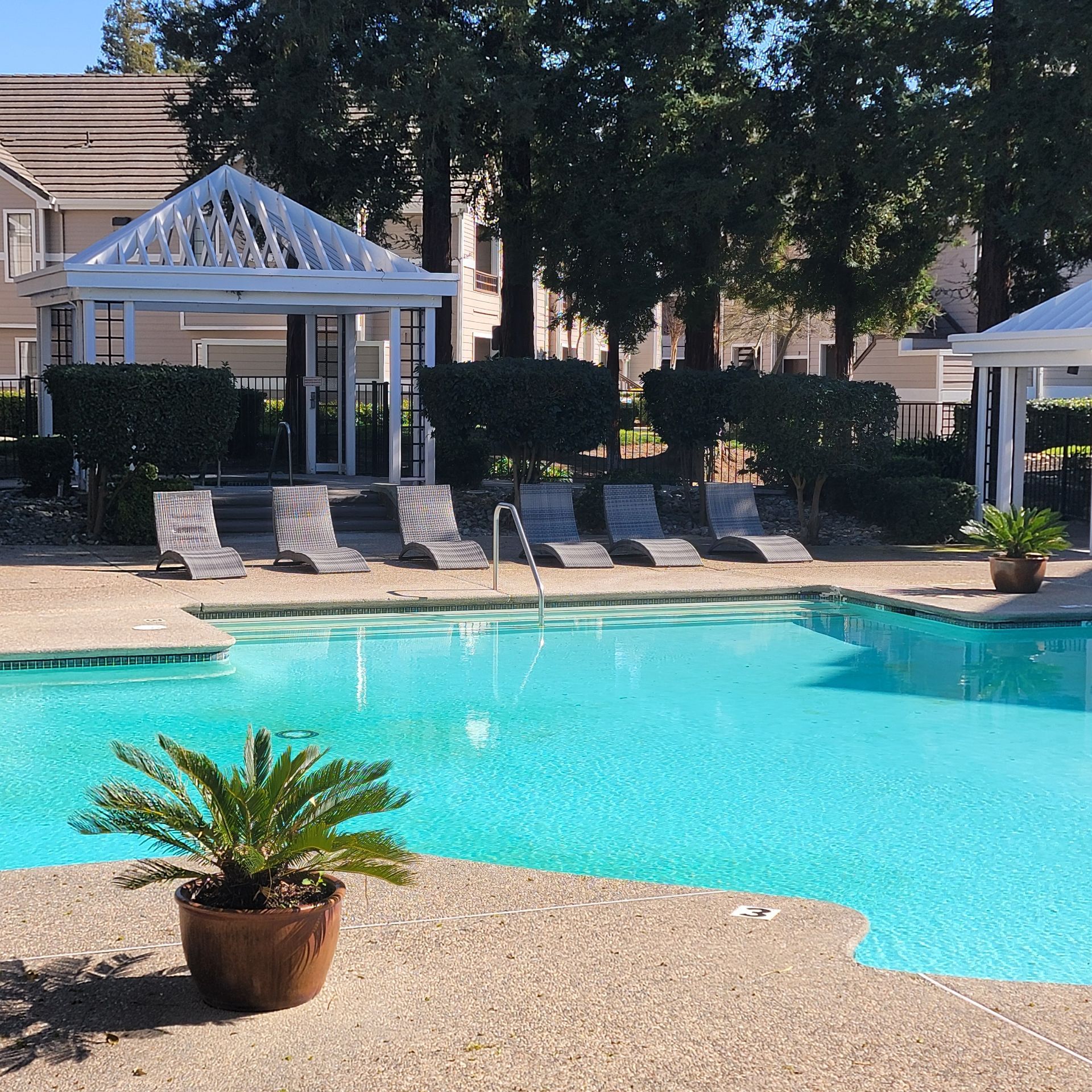 Pool with lounge chairs, gazebo, and potted palm in a sunny outdoor setting.