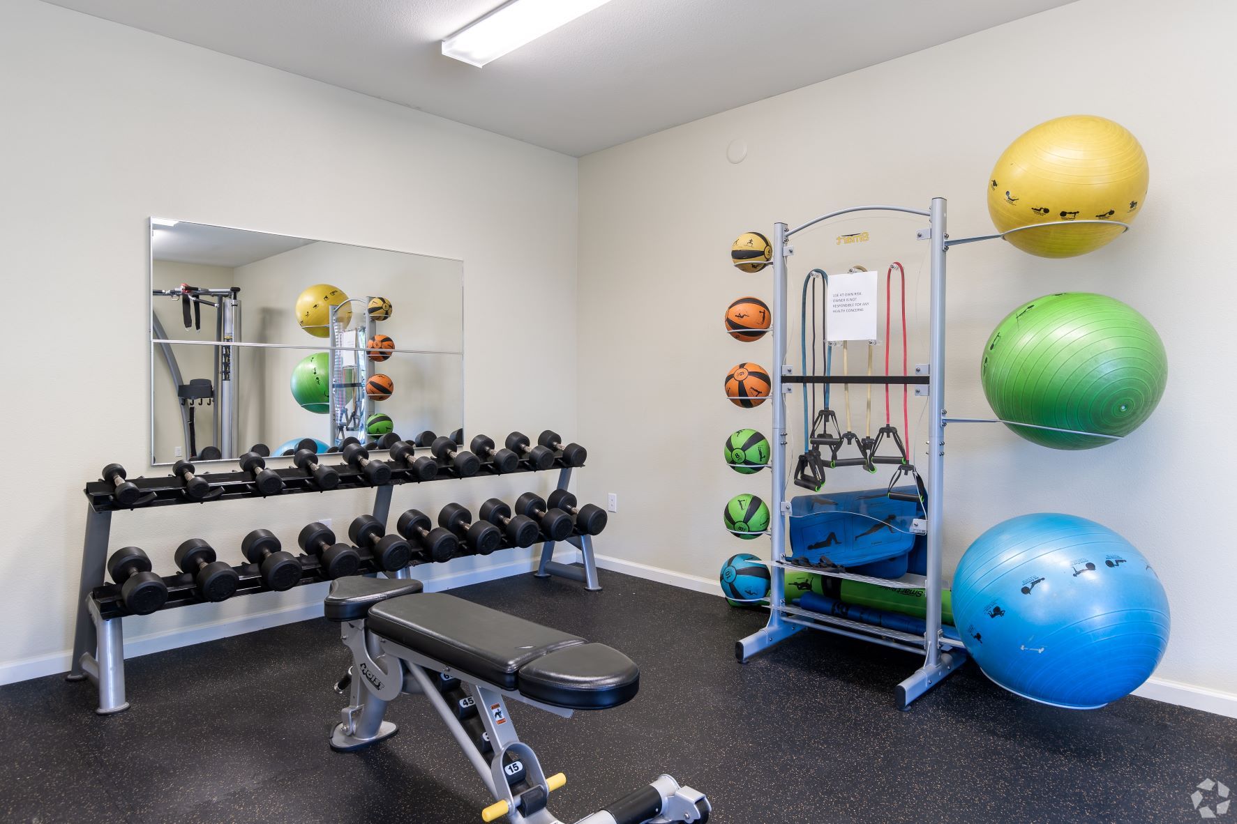 Gym with dumbbells, weight bench, exercise balls, and exercise equipment rack.