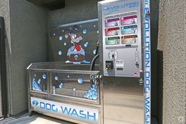 Dog wash station with stainless steel tub and control panel outdoors.