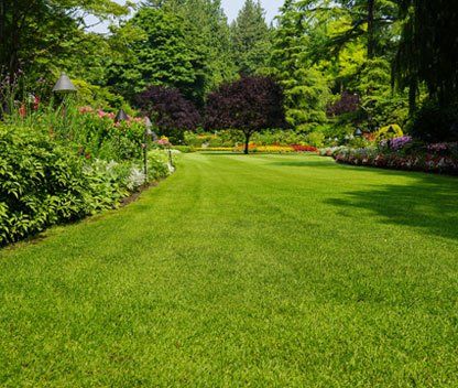 Landscaping Contractors — Beautiful Trees and Landscape in Little Rock, AR