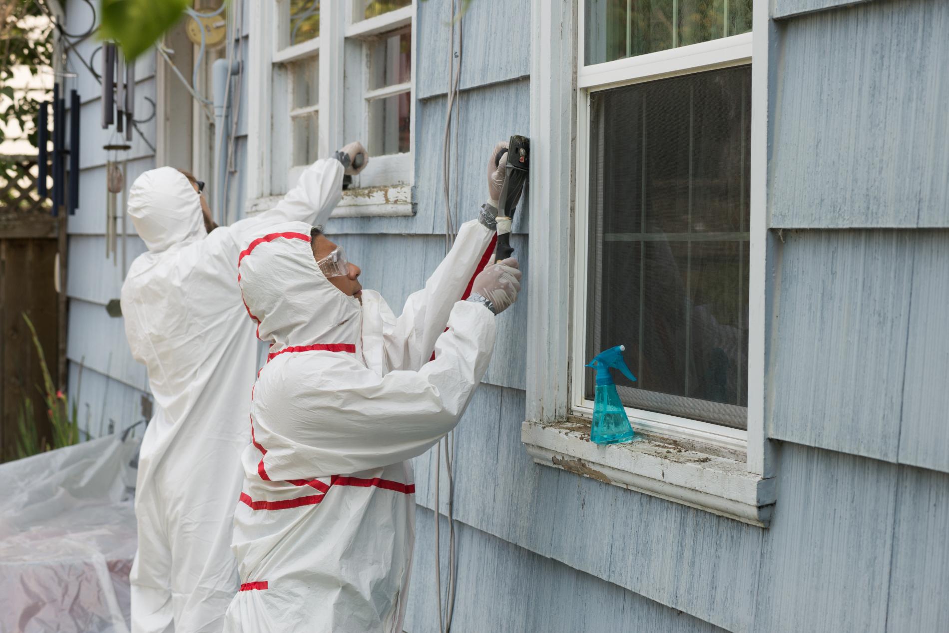 lead paint removal