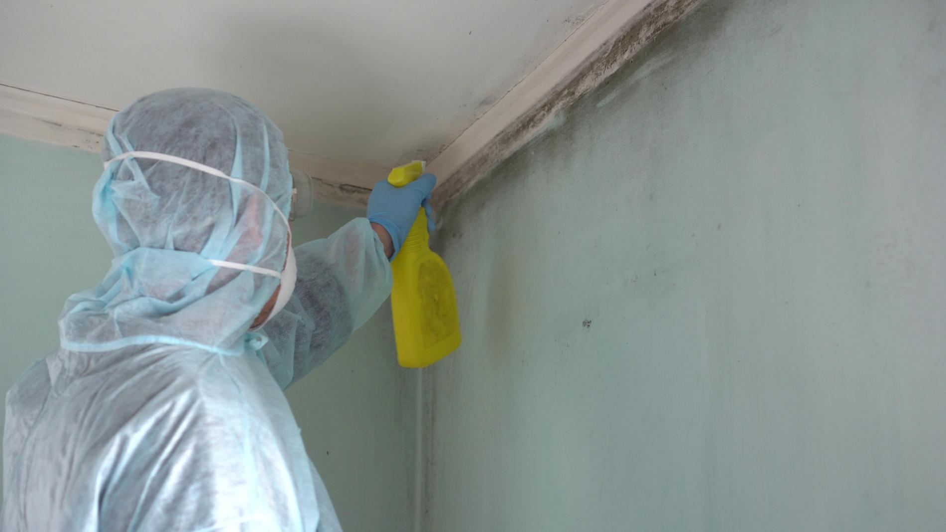 Asbestos Abatement