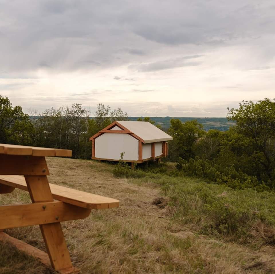 A wooden picnic table with a small white house in the background