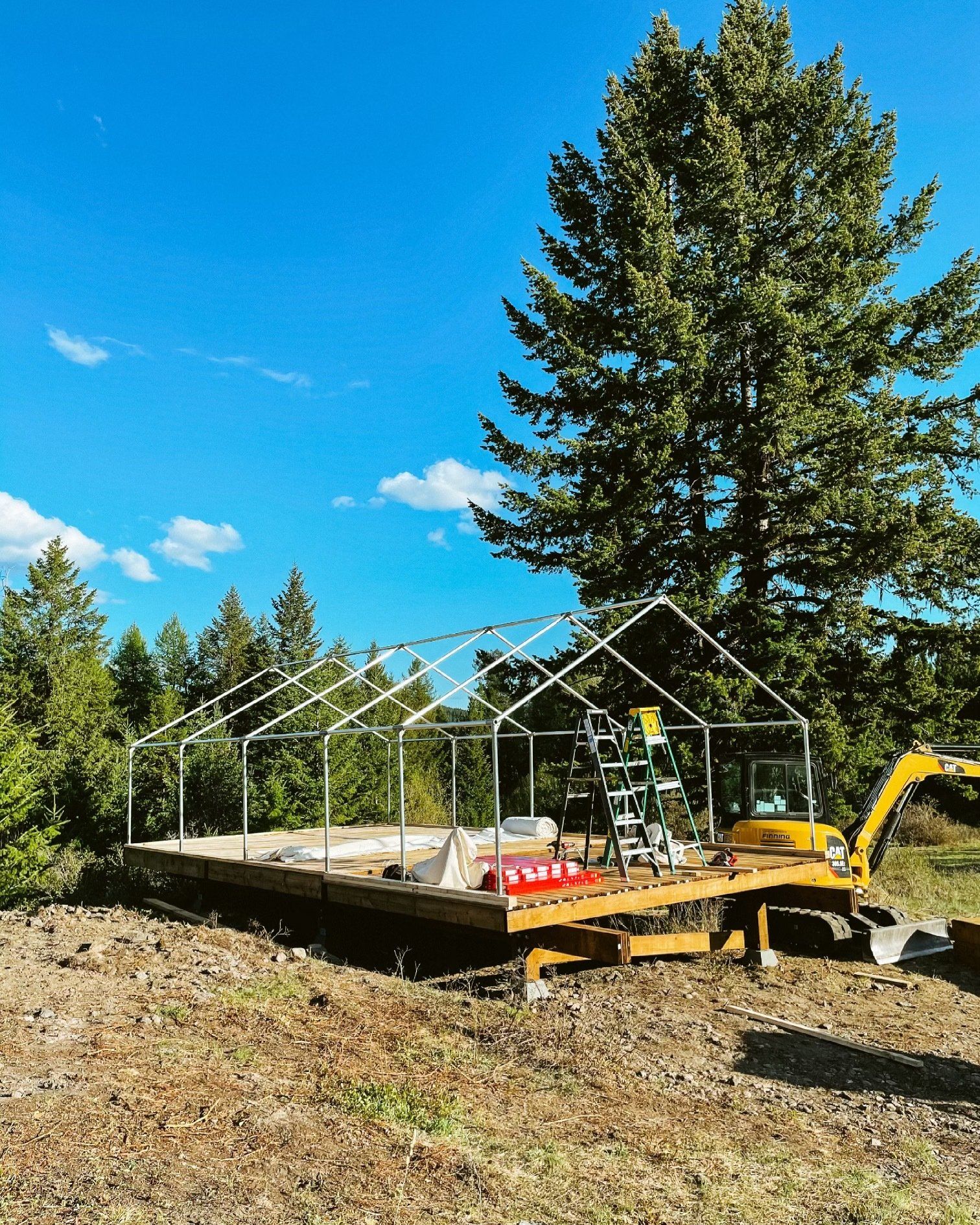 A greenhouse is being built in a field with a tree in the background.