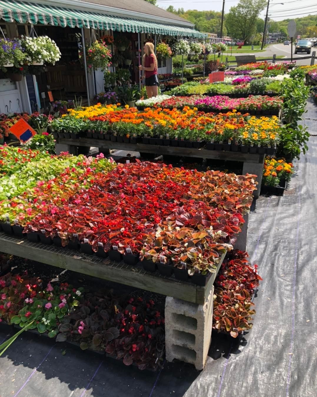 A bunch of flowers are sitting on a table in a garden.