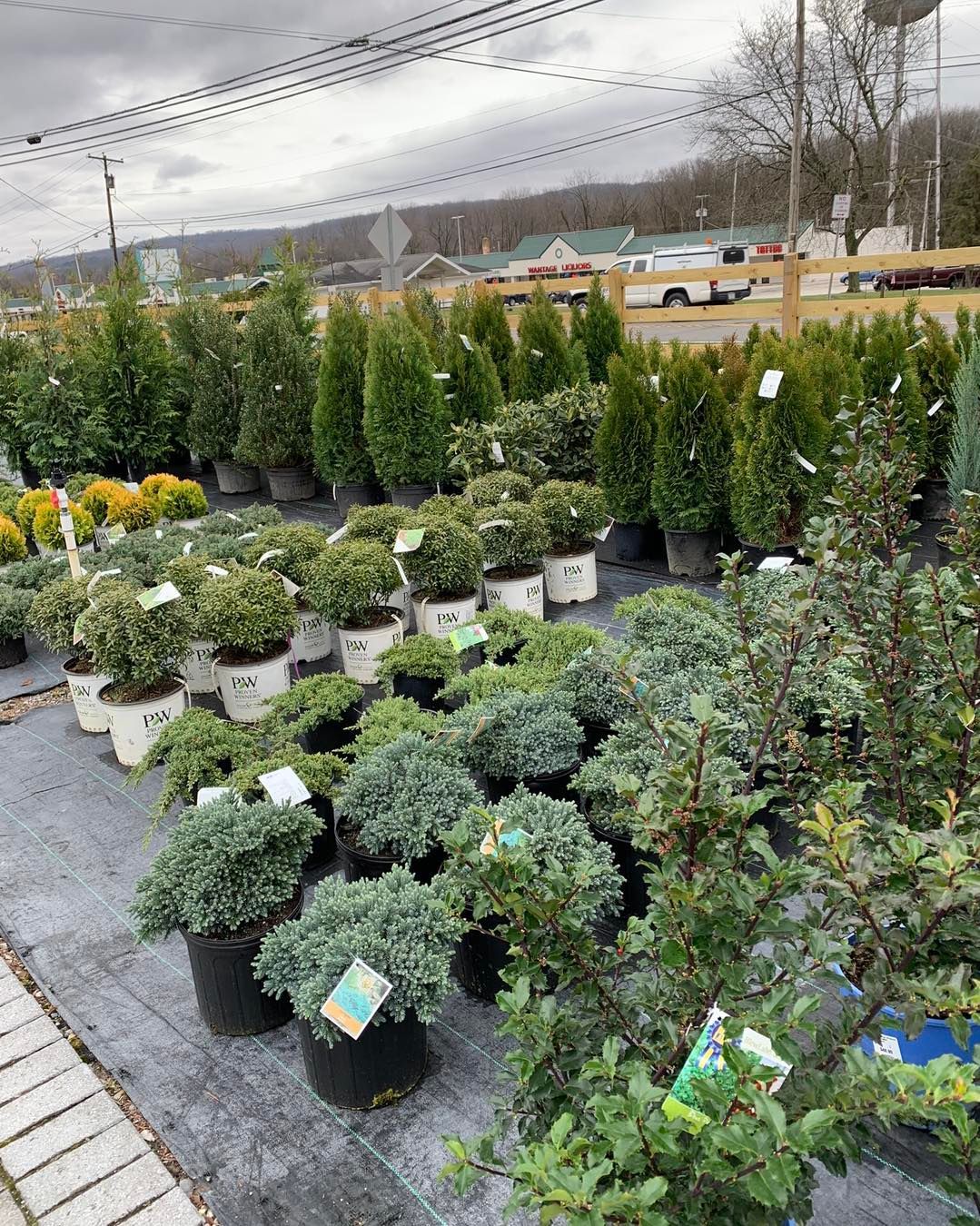 A garden center filled with lots of potted plants and trees.