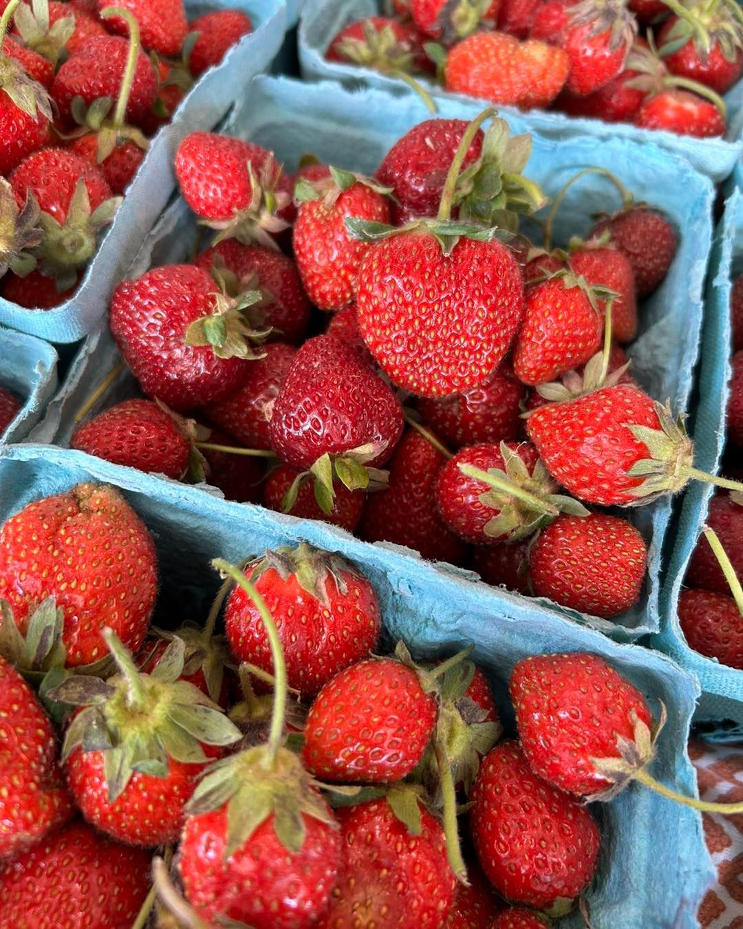 A bunch of strawberries in blue containers on a table.