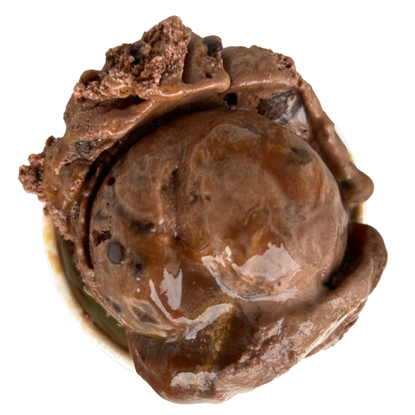 Chocolate ice cream scoop in a bowl.