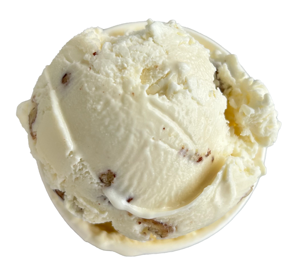 Scoop of vanilla ice cream with visible nuts in a white cup.