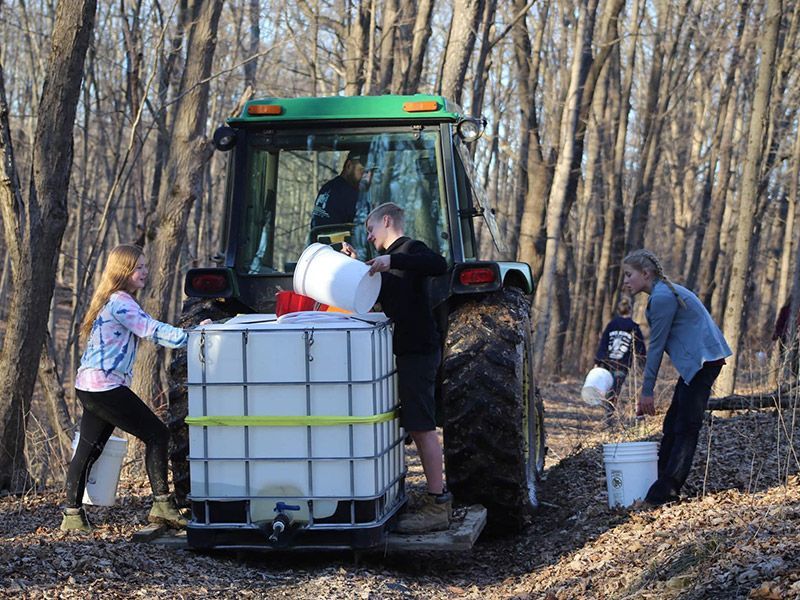 A group of people are working on a tractor in the woods.