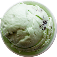 A scoop of mint chocolate chip ice cream in a bowl
