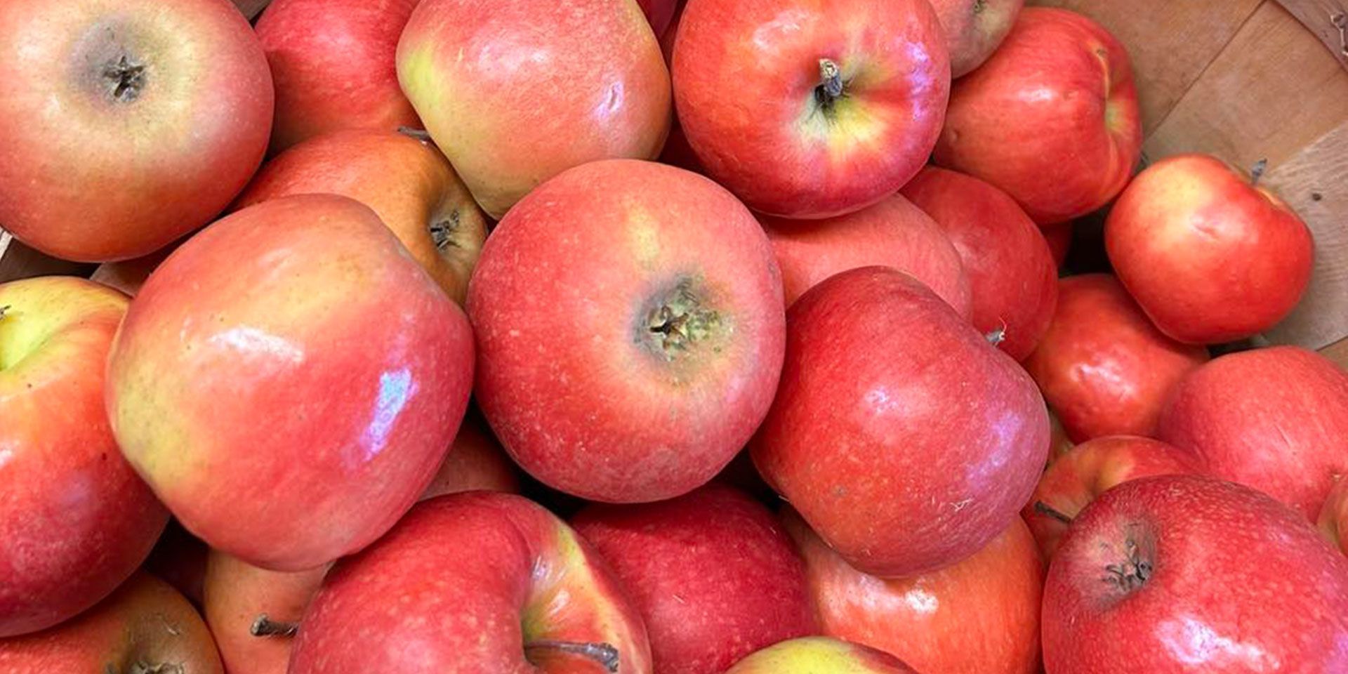 A basket filled with red apples is sitting on a table.
